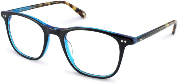 Walter & Herbert ELGAR glasses in Black/Blue