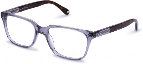 Walter & Herbert DICKENS glasses in Grey/Tort