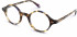 Walter & Herbert COWLEY glasses in Tort