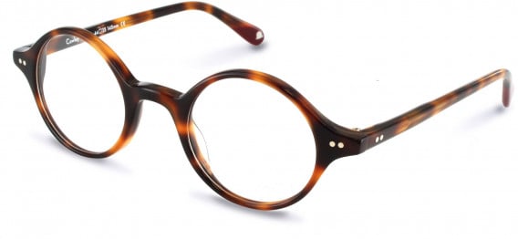 Walter & Herbert COWLEY glasses in Brown/Tort