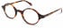 Walter & Herbert COWLEY glasses in Brown/Tort