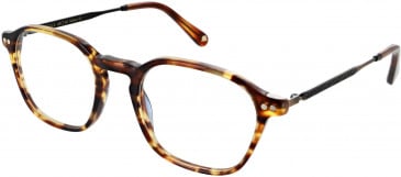 Walter & Herbert COOK glasses in Tort