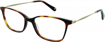 Walter & Herbert BLACKWELL glasses in Tort