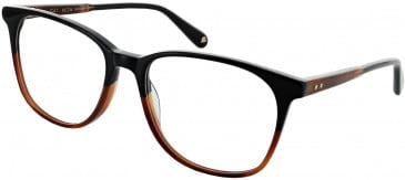 Walter & Herbert AYRTON glasses in Autumn Black