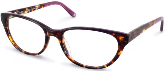 Walter & Herbert ASTELL glasses in Purple Tort