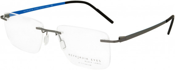 Reykjavik Eyes Black Label IVAN glasses in Light Gun