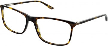 Original Penguin THE SAMUEL glasses in Tort