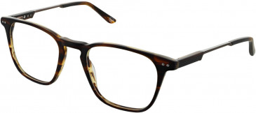 Original Penguin THE JUSTIN glasses in Tort