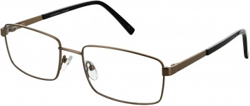 Cameo BOB glasses in Brown