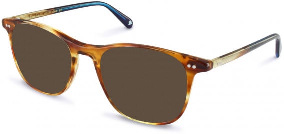 Walter & Herbert ELGAR sunglasses in Amber Tort/Blue
