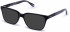 Walter & Herbert DICKENS sunglasses in Black/Grey