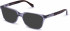 Walter & Herbert DICKENS sunglasses in Grey/Tort