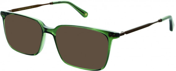 Walter & Herbert DEFOE sunglasses in Green/Silver