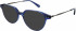 Walter & Herbert DAVISON sunglasses in Blue