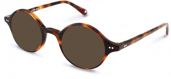 Walter & Herbert COWLEY sunglasses in Brown/Tort