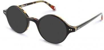 Walter & Herbert COWLEY sunglasses in Black/Tort
