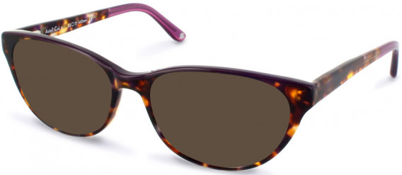 Walter & Herbert ASTELL sunglasses in Purple Tort