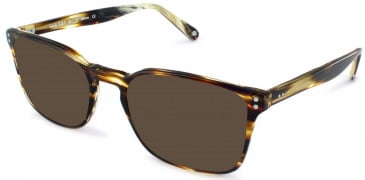 Walter & Herbert LEWIS sunglasses in Tort