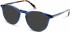 Walter & Herbert HUXLEY sunglasses in Blue/Tort