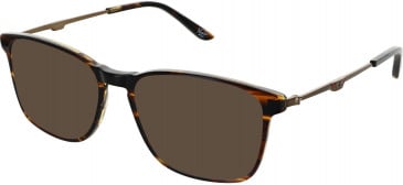 Original Penguin THE JASPE sunglasses in Brown