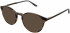 Original Penguin THE FINN sunglasses in Brown