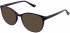 Matrix MATRIX 841 sunglasses in Purple