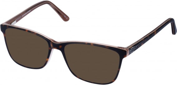 Cameo MANDY sunglasses in Sherry