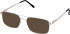 Cameo ANDREW-56 sunglasses in Gold