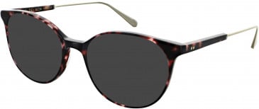 Walter & Herbert TEALBY sunglasses in Ruby Tort