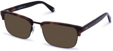 Walter & Herbert LOWRY sunglasses in Tort