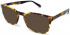 Walter & Herbert LEWIS sunglasses in Light Tort