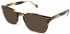 Walter & Herbert LEWIS sunglasses in Tort