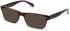 Walter & Herbert KIPLING sunglasses in Brown