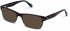 Walter & Herbert KIPLING sunglasses in Green/Brown