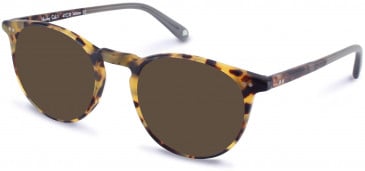 Walter & Herbert HUXLEY sunglasses in Tort