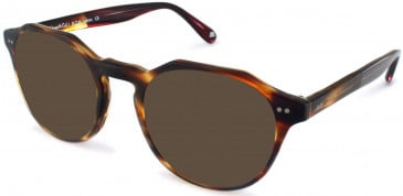 Walter & Herbert HOGARTH sunglasses in Tort