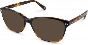 Walter & Herbert HEPWORTH sunglasses in Black/Tort