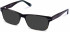 Walter & Herbert BYRON sunglasses in Green/Brown