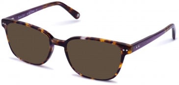Walter & Herbert BRONTE sunglasses in Purple Tort