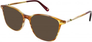 Walter & Herbert BELL sunglasses in Tort