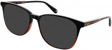 Walter & Herbert AYRTON sunglasses in Autumn Black