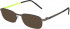 Reykjavik Eyes Black Label RUNI sunglasses in Brushed Brown