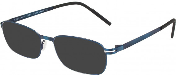 Reykjavik Eyes Black Label RUNI sunglasses in Blue