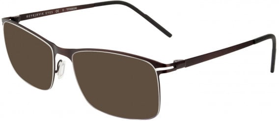 Reykjavik Eyes Black Label LOKI sunglasses in Brown