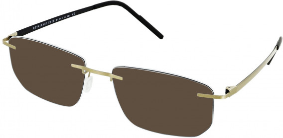 Reykjavik Eyes Black Label ANDRES sunglasses in Gold