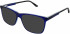 Original Penguin THE TODD sunglasses in Blue
