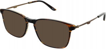 Original Penguin THE JASPE sunglasses in Brown