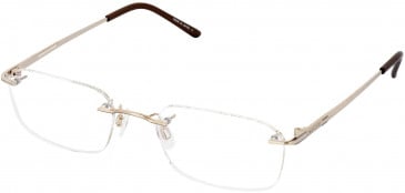 JAEGER 237 Designer Glasses in Gold/Ruthenium