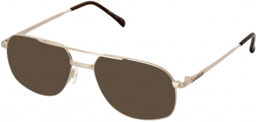 Jaeger 206 Sunglasses in Gold