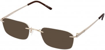 Jaeger 237 Sunglasses in Gold/Ruthenium